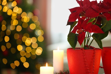 Photo of Potted poinsettias, burning candles and festive decor in room, closeup with space for text. Christmas traditional flower
