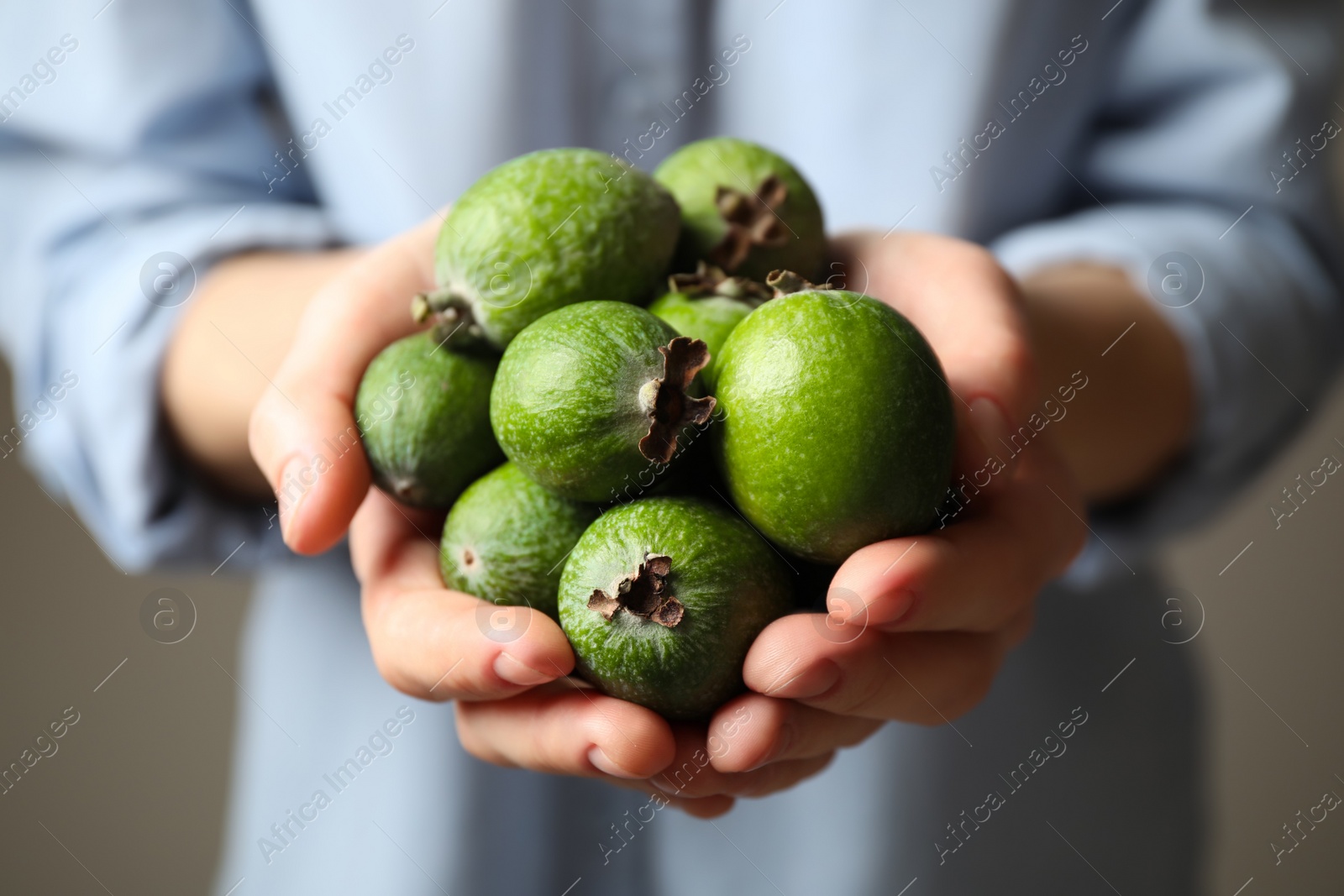 Photo of Woman holding fresh green feijoa fruits on grey background, closeup