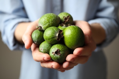 Woman holding fresh green feijoa fruits on grey background, closeup