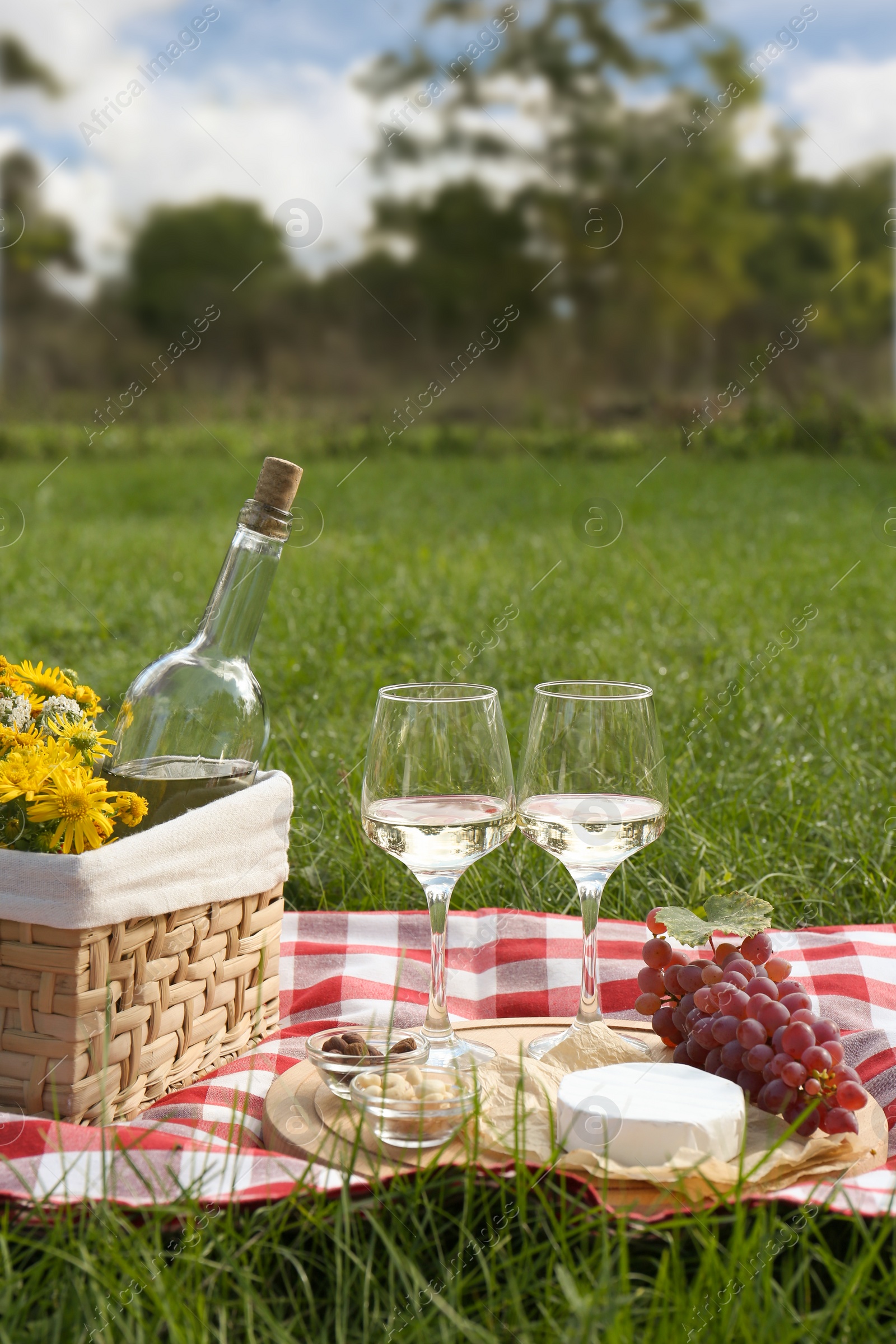 Photo of Glasses of white wine and snacks for picnic served on blanket in park