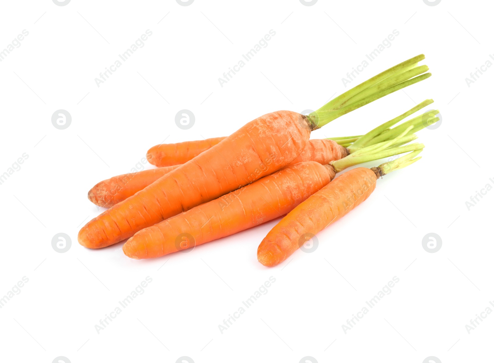 Bunch of fresh ripe carrots isolated on white Photo of Bunch of fresh ripe carrots isolated on white