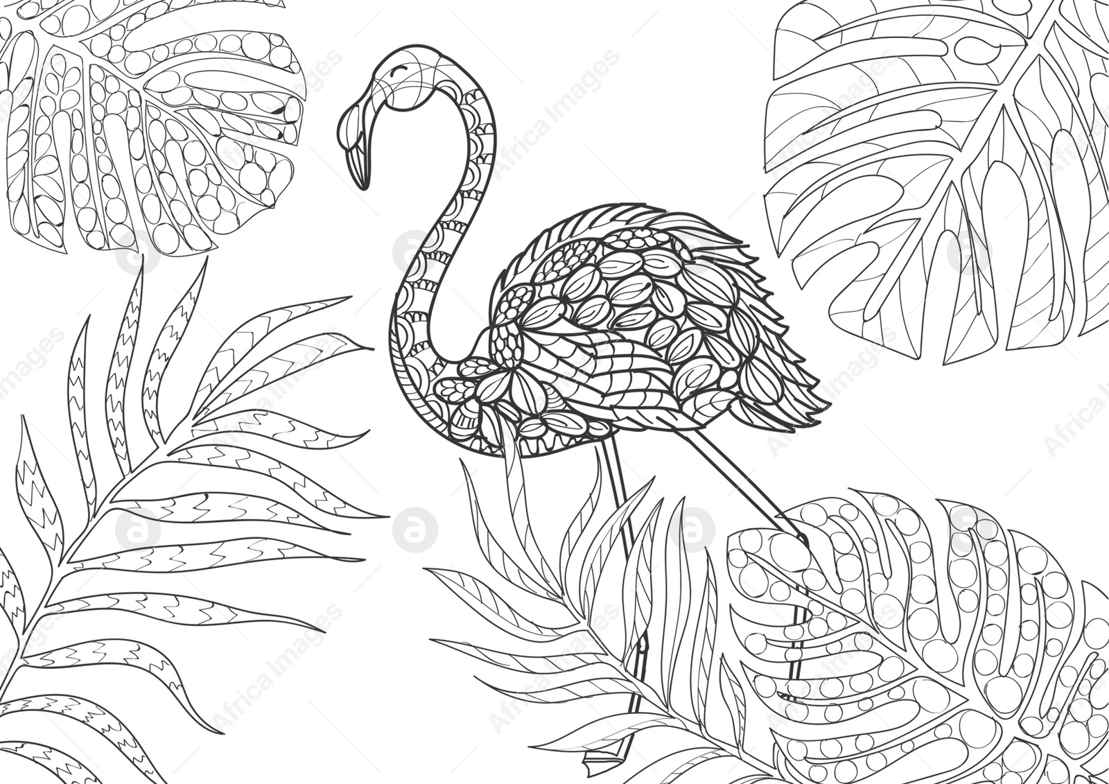 Illustration of Beautiful flamingo and tropical leaves on white background, illustration. Coloring page