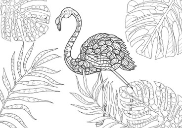 Beautiful flamingo and tropical leaves on white background, illustration. Coloring page