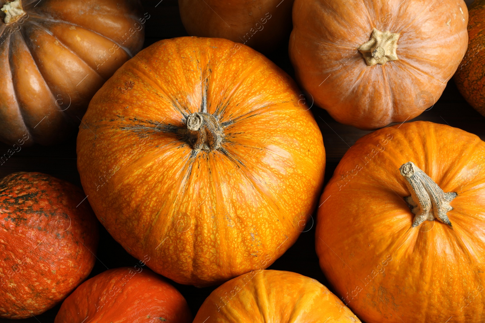 Photo of Many orange pumpkins as background, closeup. Autumn holidays