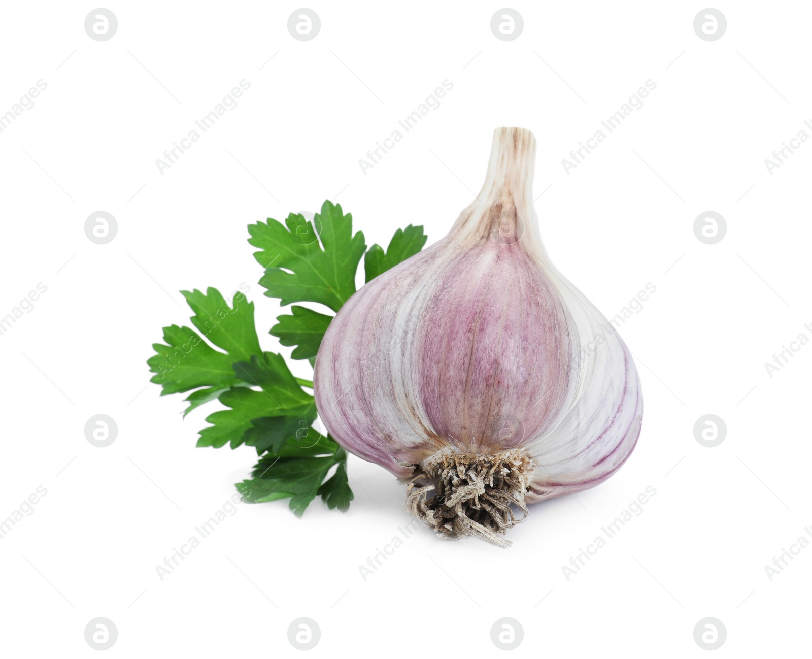 Photo of Fresh garlic bulb and parsley isolated on white