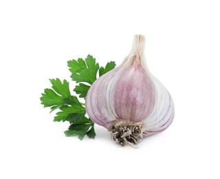 Fresh garlic bulb and parsley isolated on white