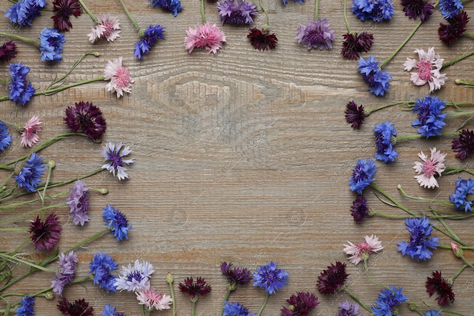 Photo of Frame of beautiful colorful cornflowers on wooden background, flat lay. Space for text