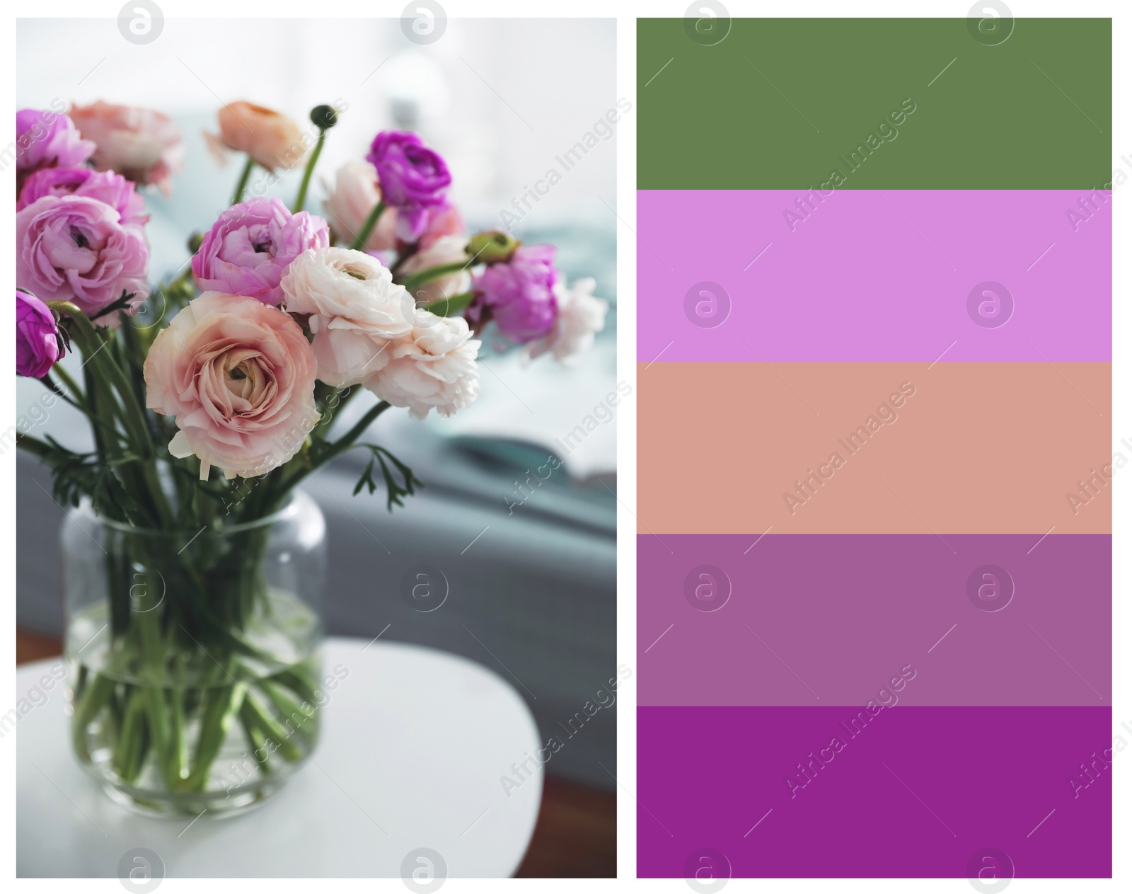 Image of Color palette appropriate to photo of beautiful ranunculuses on table in room