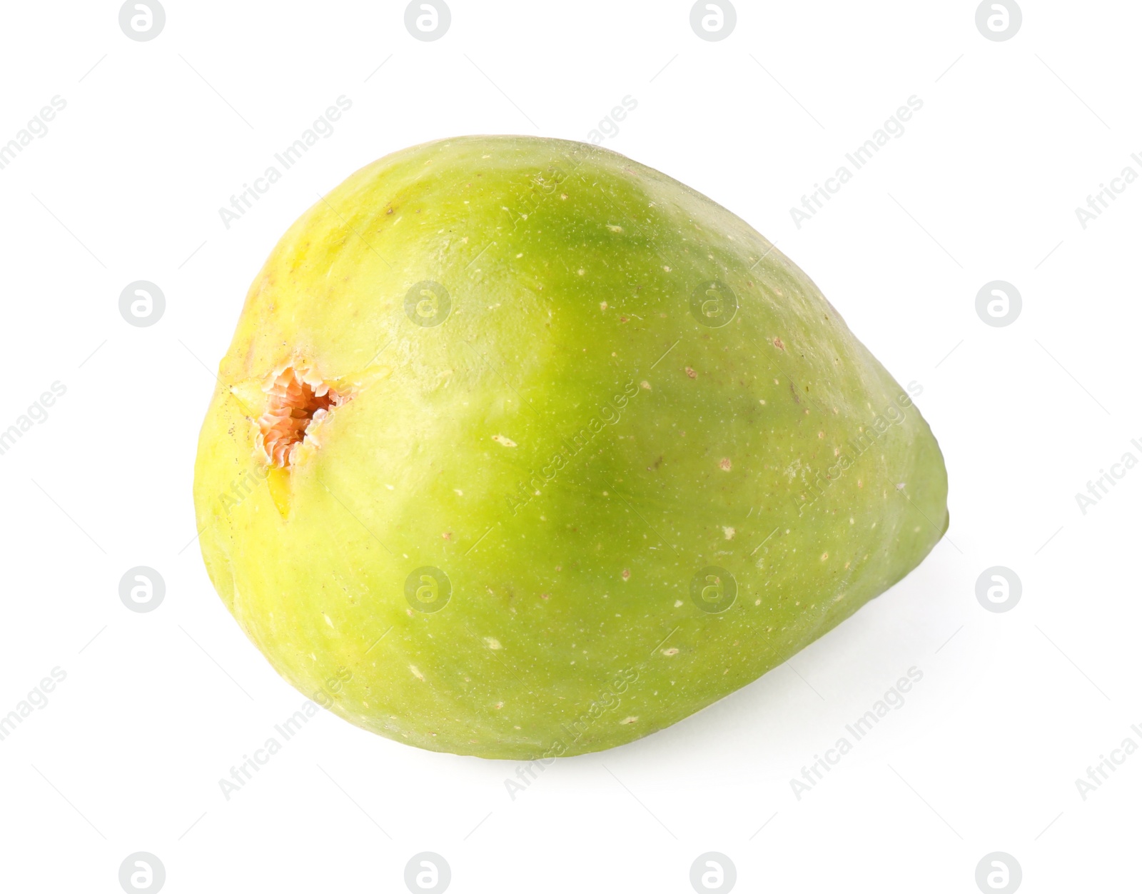 Photo of One fresh green fig isolated on white