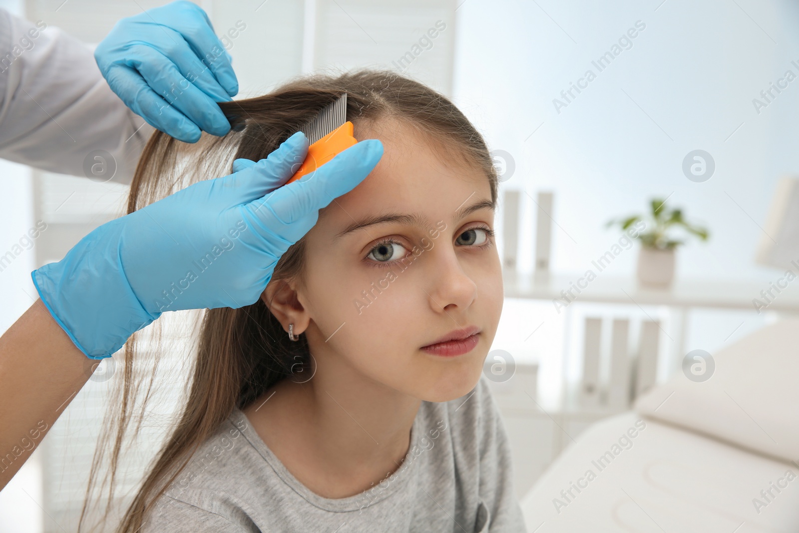 Photo of Doctor using nit comb on girl's hair in clinic. Anti lice treatment