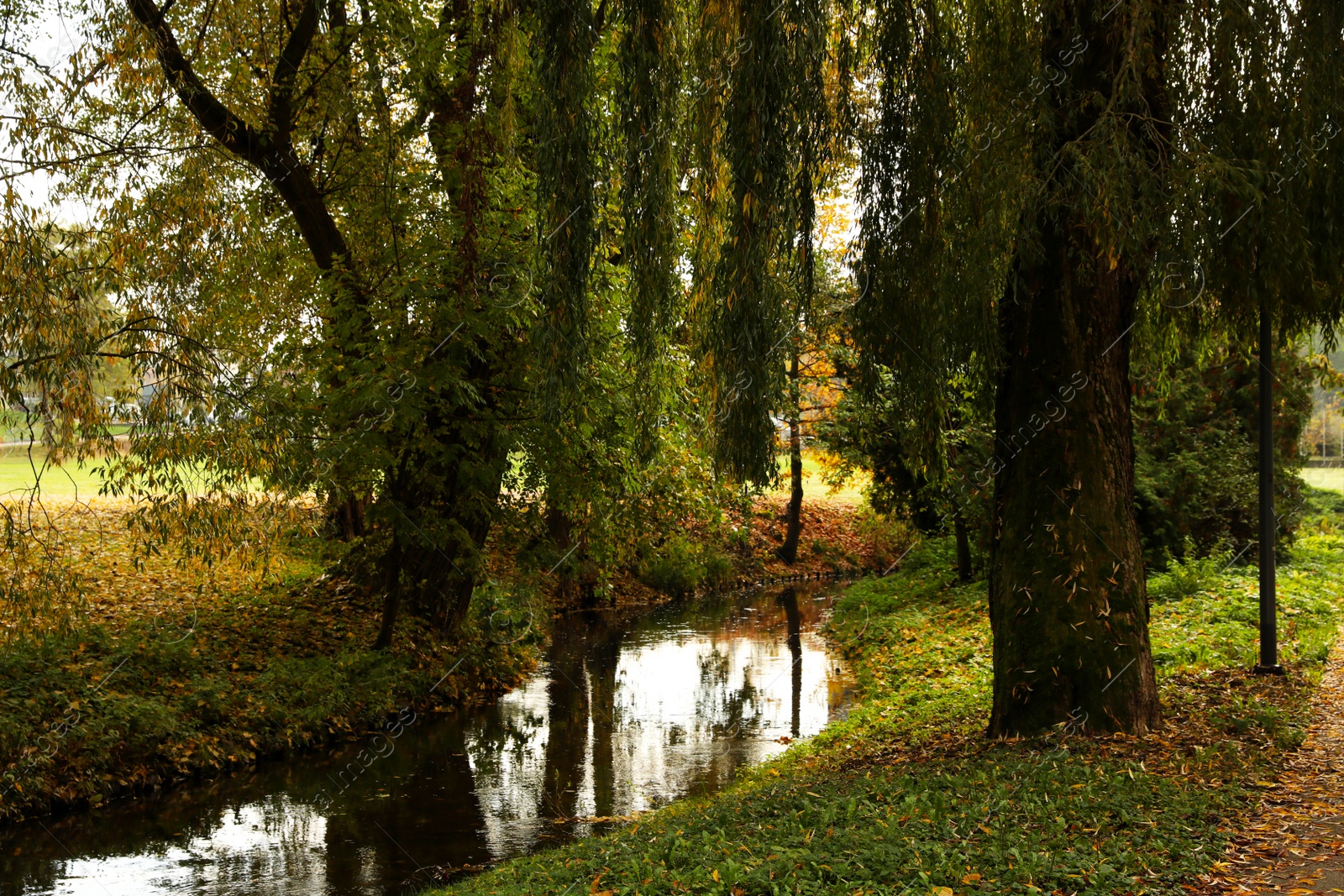 Photo of Beautiful park with yellowed trees and small river