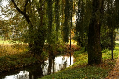 Beautiful park with yellowed trees and small river