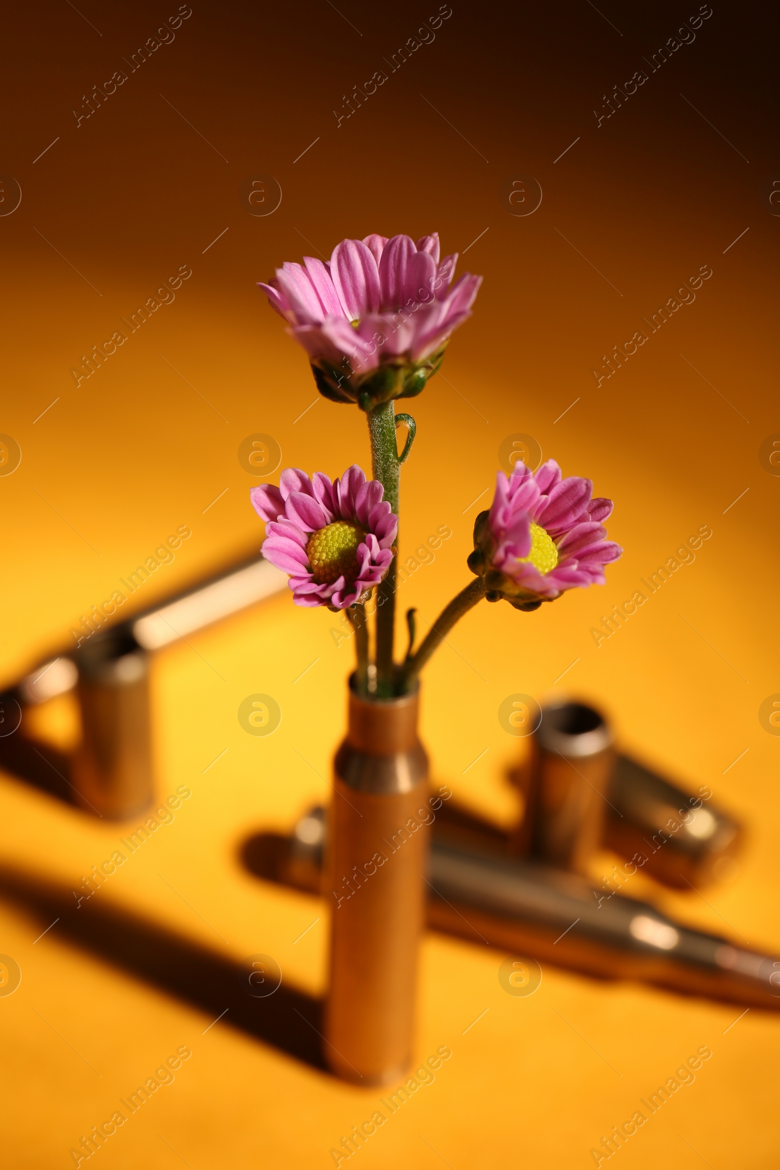 Photo of Bullet cartridge cases and beautiful chrysanthemum flowers on orange background, closeup