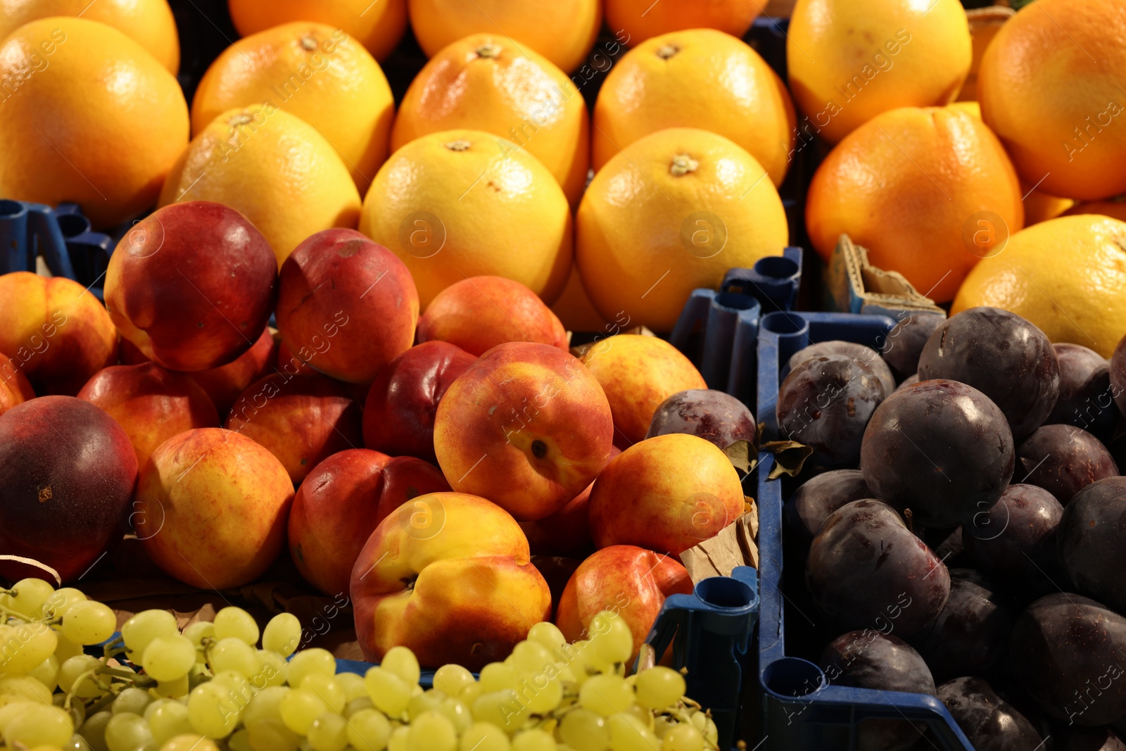 Photo of Many different fresh fruits on counter at market, closeup