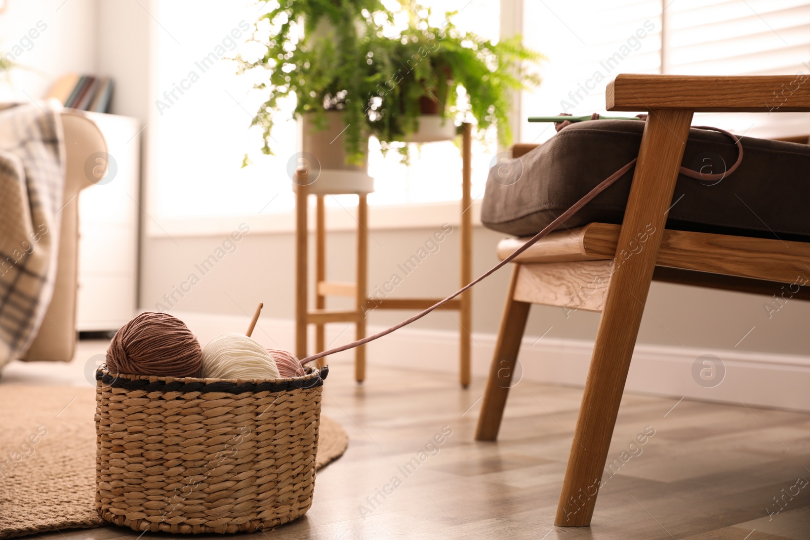 Photo of Basket with yarn and knitting needle at home. Creative hobby