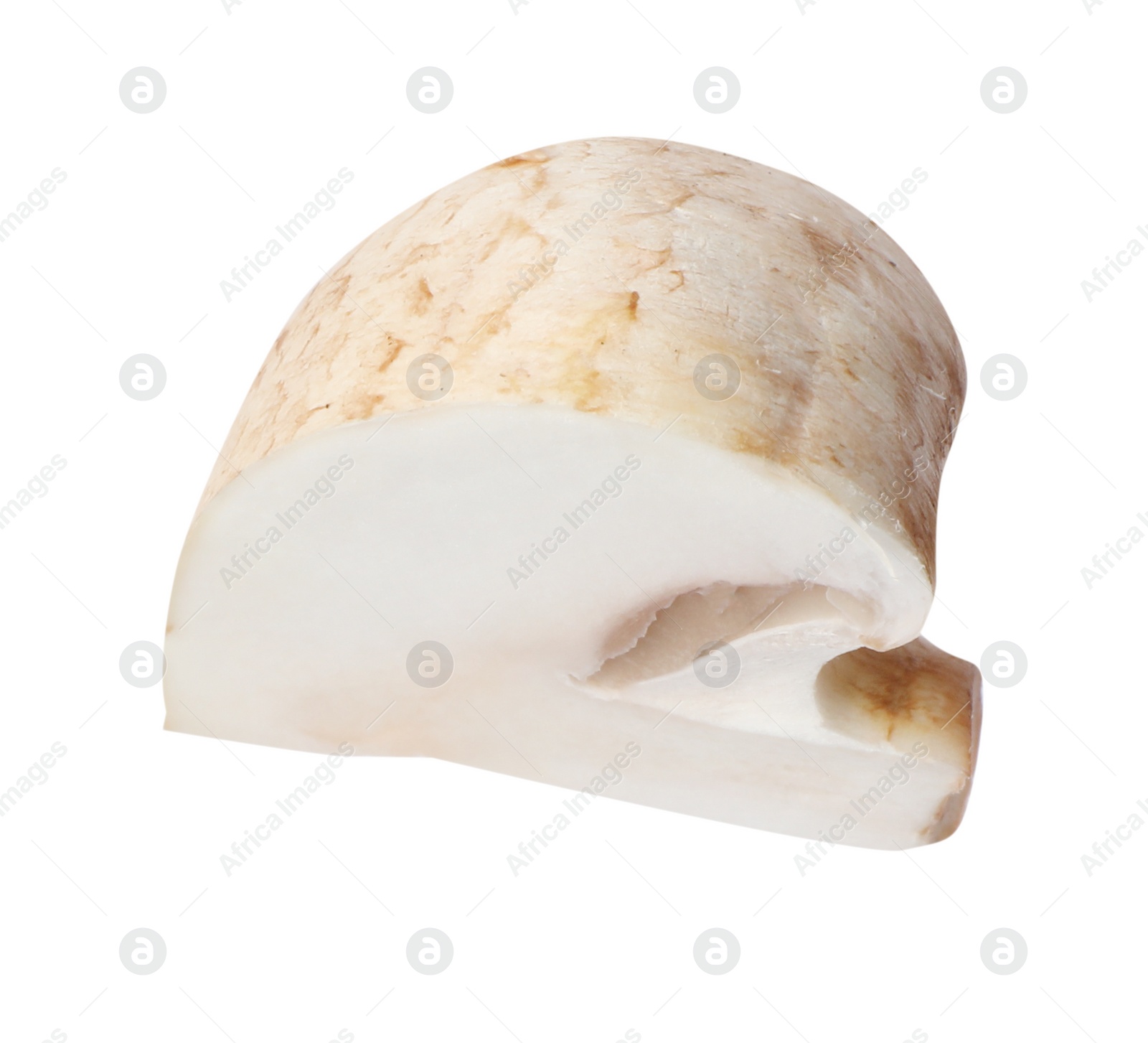 Photo of Piece of fresh mushroom on white background