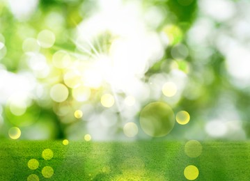 Vibrant green grass outdoors on sunny day