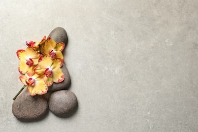 Flat lay composition with spa stones and orchid flowers on grey background. Space for text