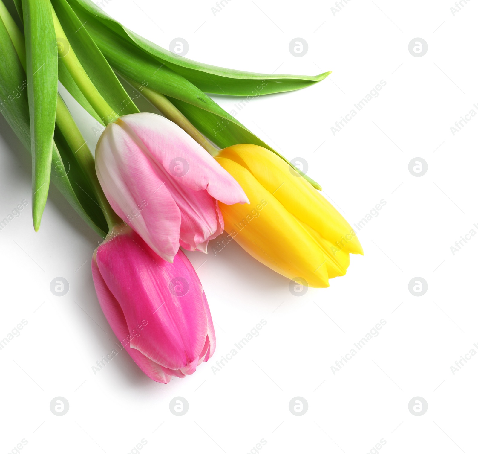 Photo of Beautiful spring tulips on white background, top view. International Women's Day