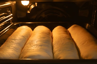 Baking tasty pastry in oven, closeup view