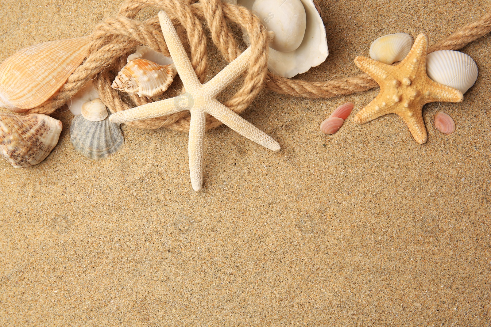 Photo of Beautiful sea stars, shells and rope on sand, flat lay. Space for text