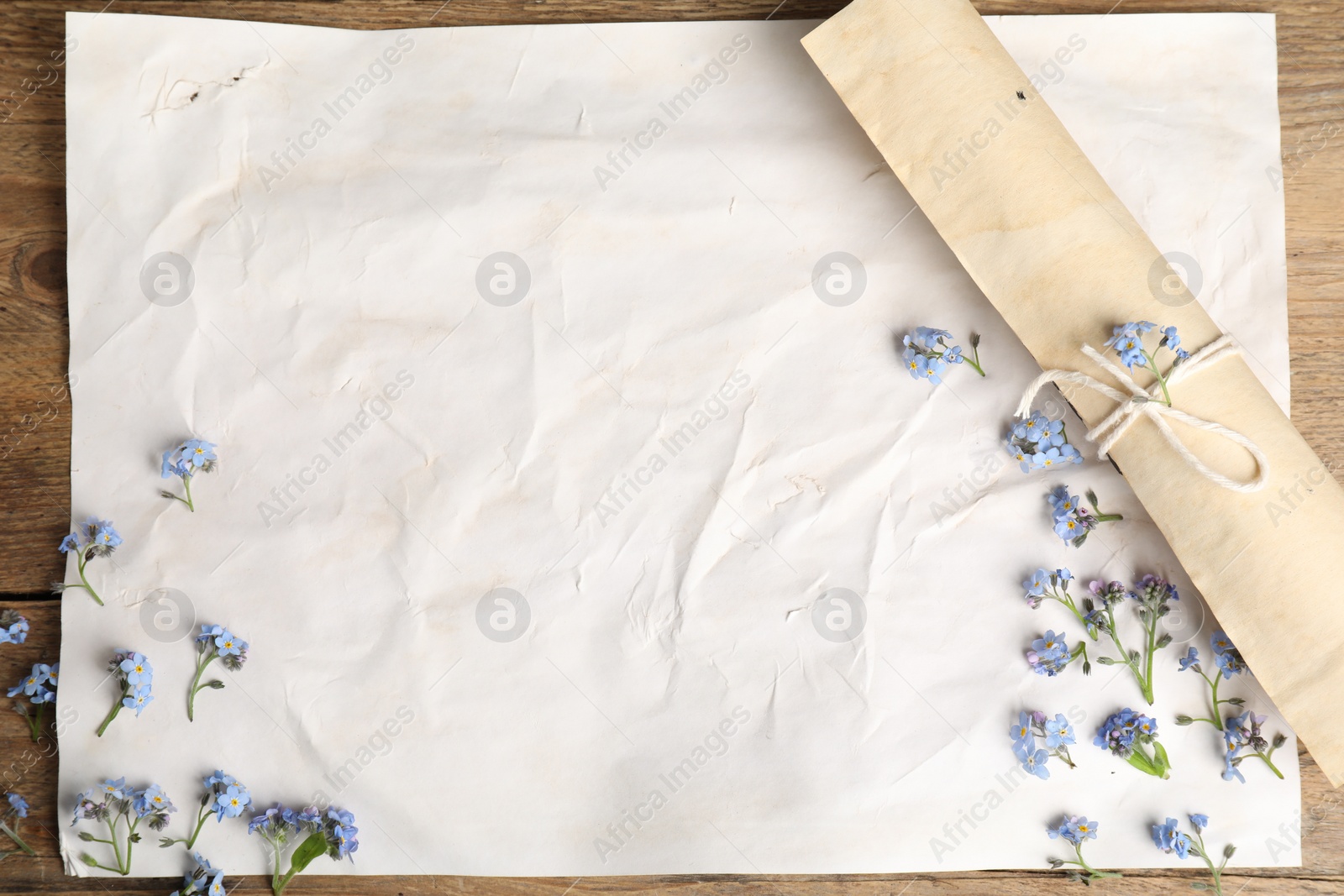 Photo of Beautiful forget-me-not flowers and sheets of old parchment paper on wooden table, top view