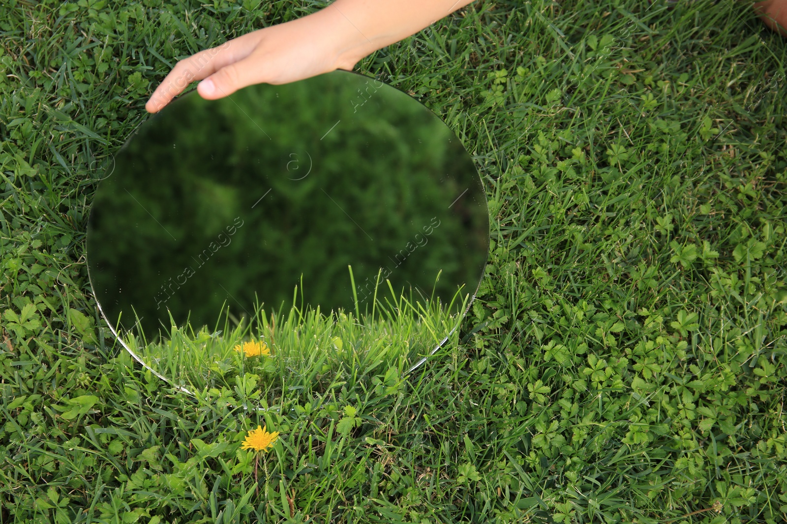 Photo of Girl holding round mirror reflecting green grass and dandelion, closeup