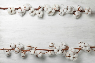 Photo of Flat lay composition with branches of cotton plant on white wooden background. Space for text