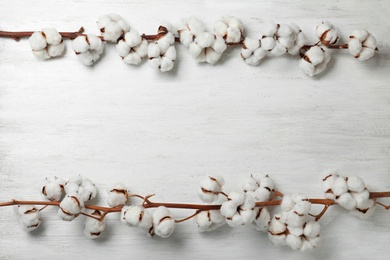 Flat lay composition with branches of cotton plant on white wooden background. Space for text