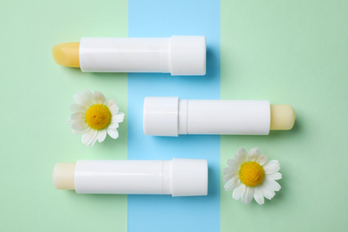 Photo of Hygienic lipsticks and chamomile flowers on color background, flat lay