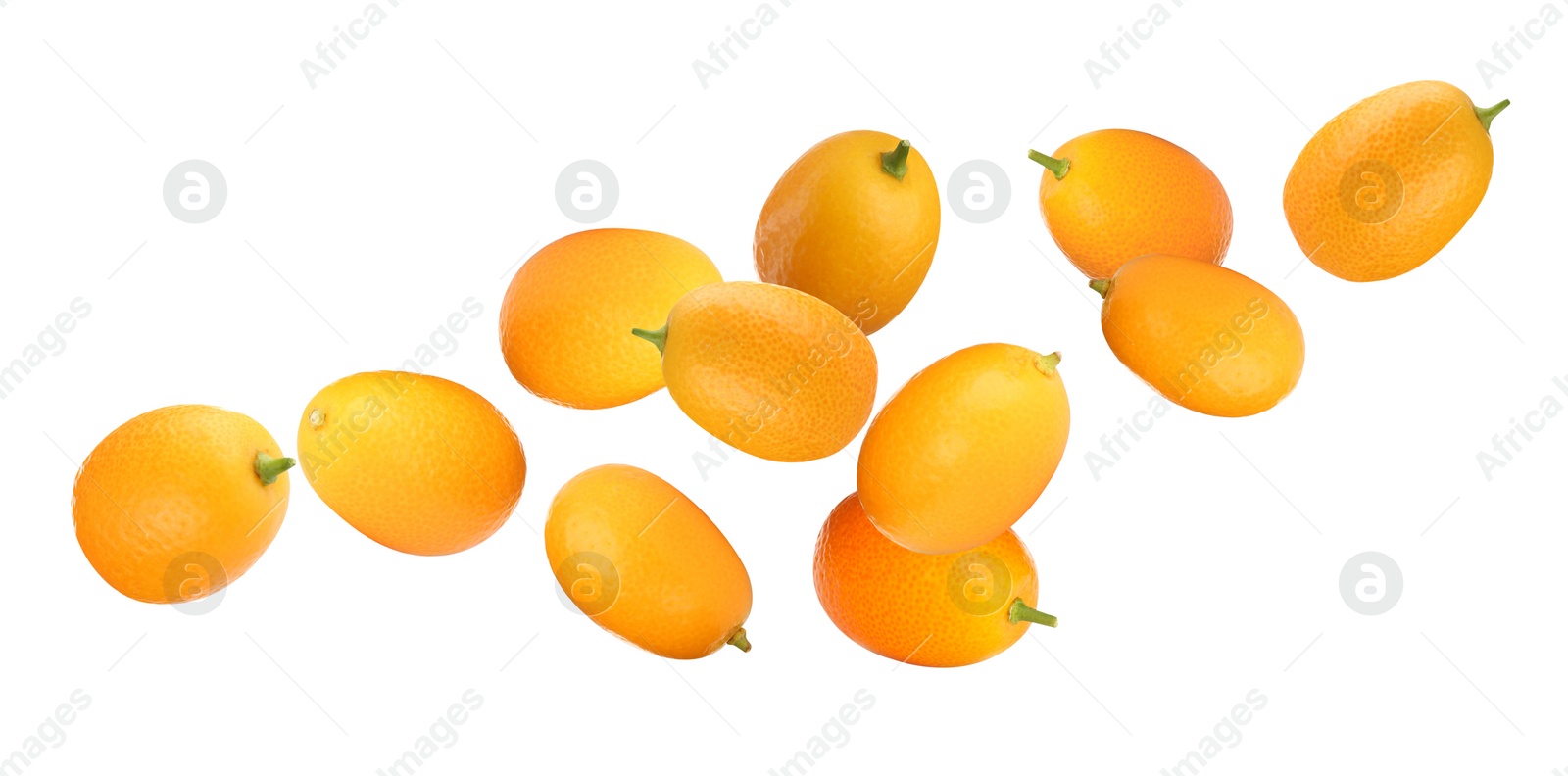 Image of Fresh ripe kumquat fruits falling on white background, banner design