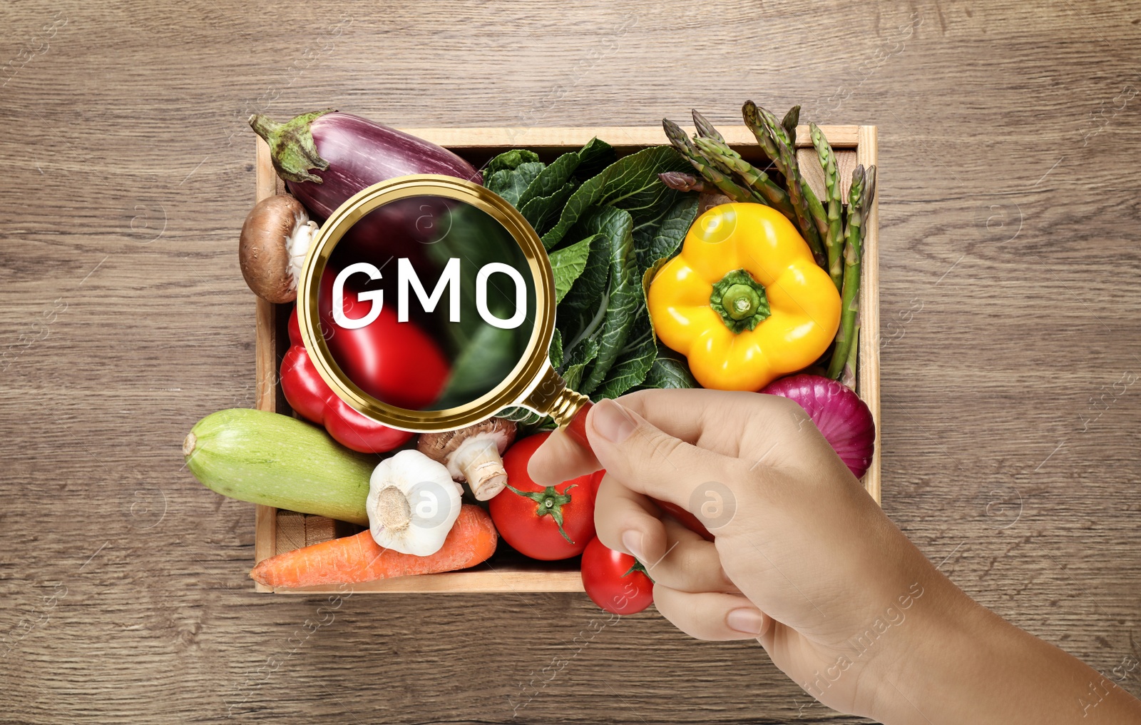 Image of Woman holding magnifying glass over fresh vegetables on wooden table, top view. GMO concept