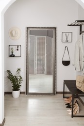 Modern hallway interior with large mirror and houseplant