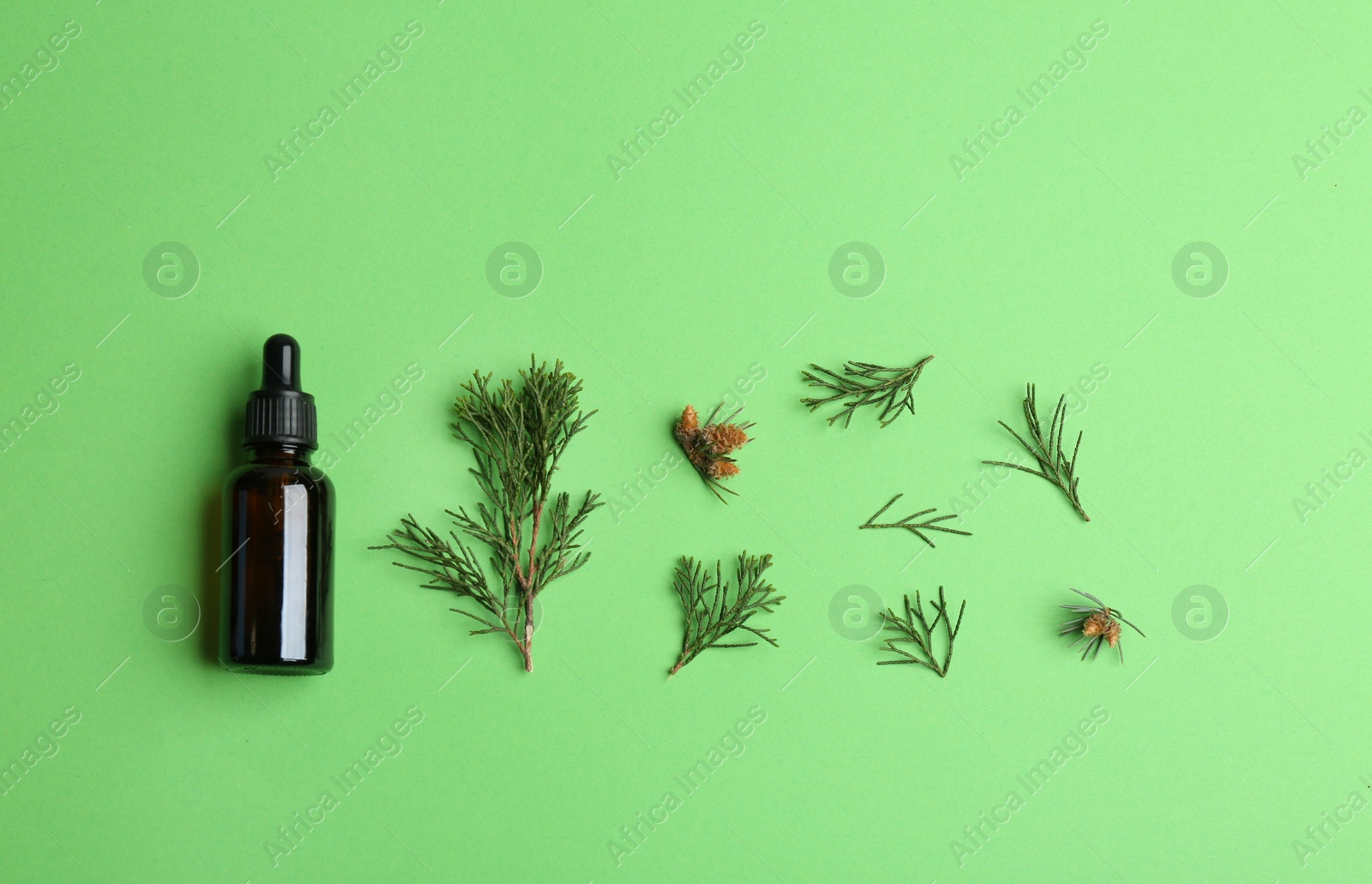Photo of Little bottle with essential oil and pine branches on color background, flat lay