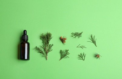 Little bottle with essential oil and pine branches on color background, flat lay