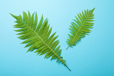 Photo of Beautiful tropical fern leaves on light blue background, flat lay