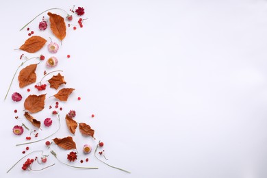 Dry autumn leaves, different flowers and berries on white background, flat lay. Space for text