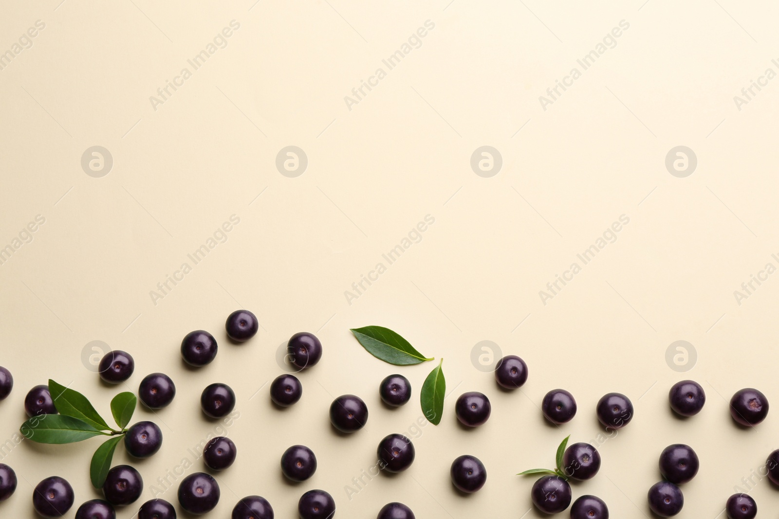 Photo of Fresh acai berries on beige background, flat lay. Space for text