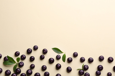 Fresh acai berries on beige background, flat lay. Space for text