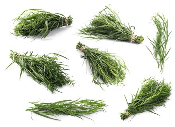 Set with bunches of green tarragon isolated on white