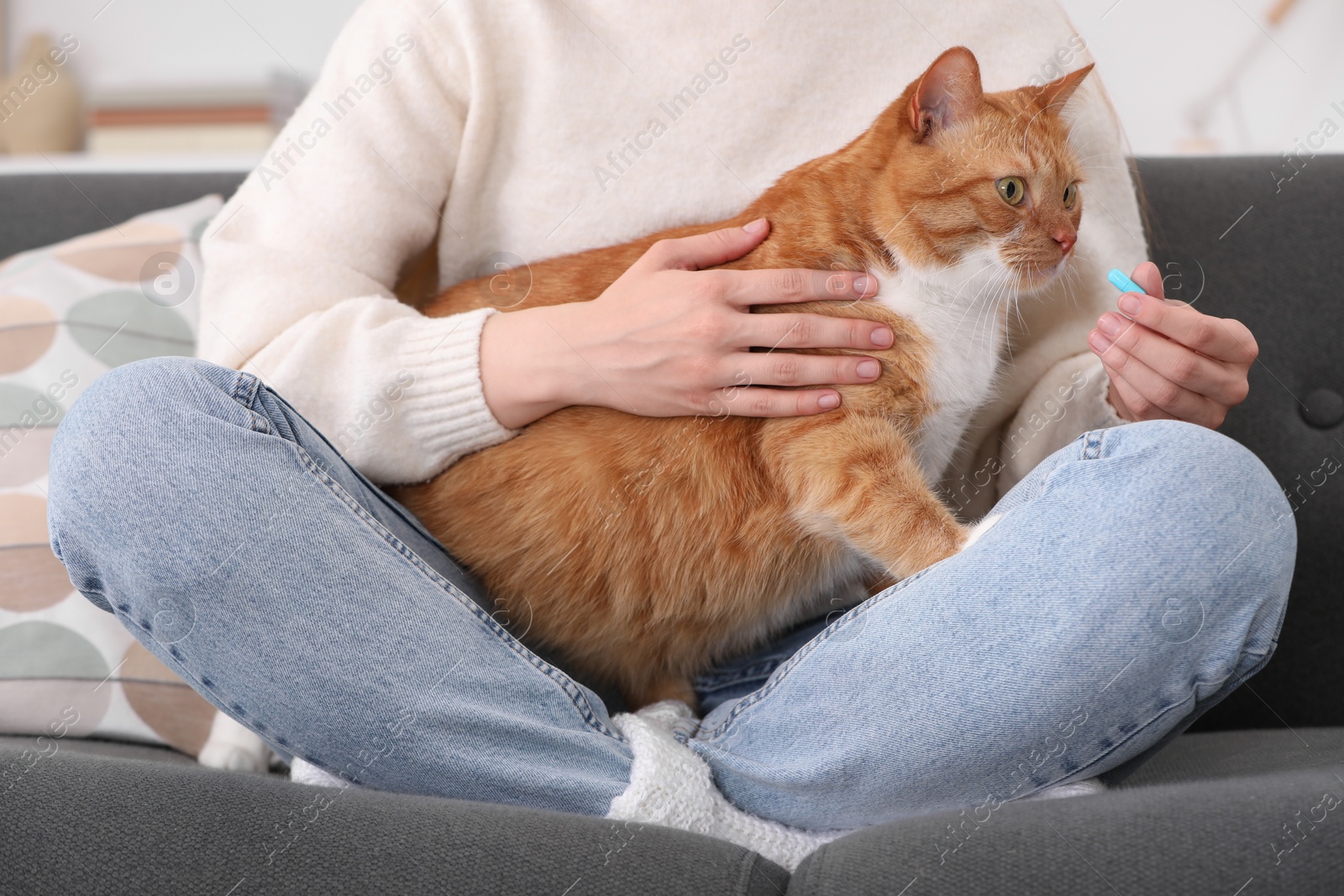 Photo of Woman giving pill to cute cat on sofa indoors, closeup