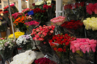 Photo of Assortment of beautiful flowers at wholesale market