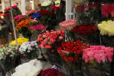 Assortment of beautiful flowers at wholesale market