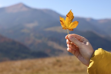 Photo of Woman holding beautiful autumn leaf in mountains, closeup. Space for text