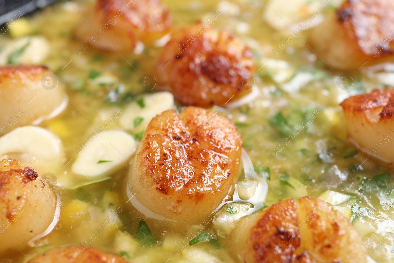 Photo of Fried scallops with sauce in dish, closeup