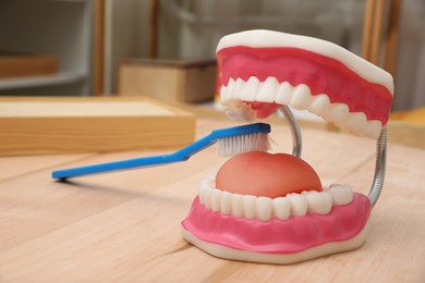 Photo of Model of oral cavity with teeth, tongue and brush on wooden table in room. Montessori toy