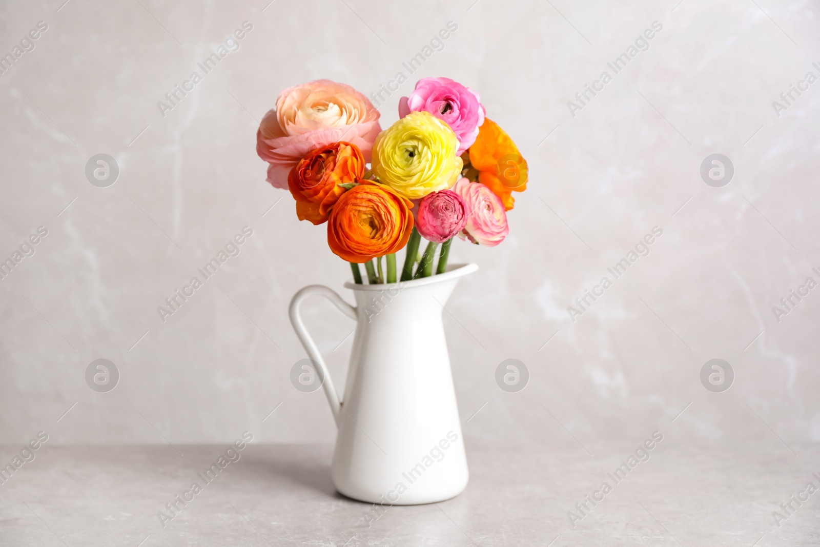 Photo of Beautiful ranunculus flowers in white jug on table