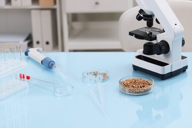 Food quality control. Microscope, petri dishes with wheat grains and other laboratory equipment on light blue table