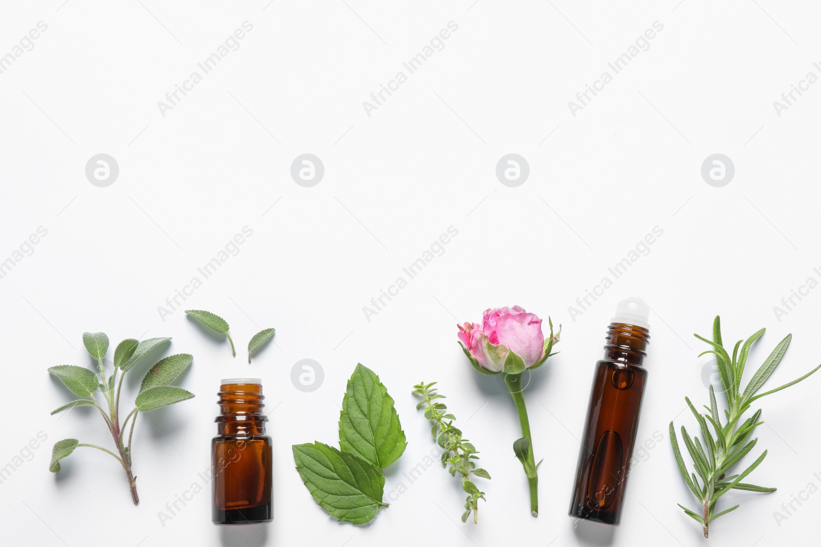Photo of Bottles of essential oils, different herbs and rose flower on white background, flat lay. Space for text