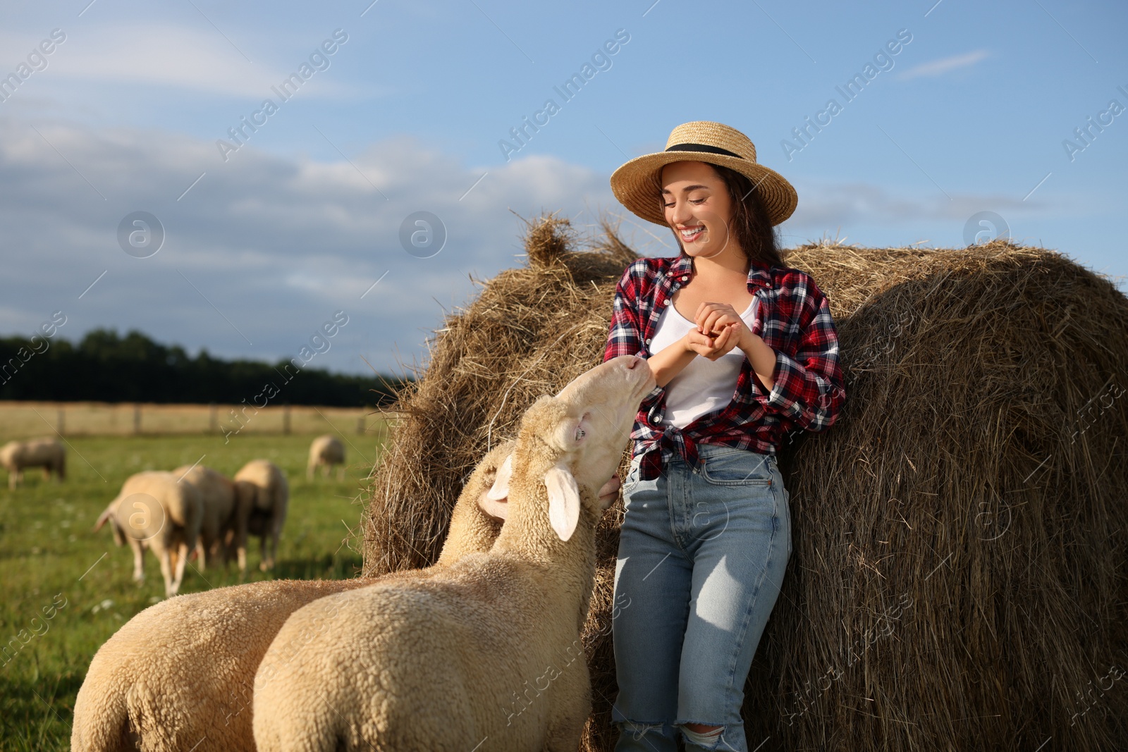 Photo of Smiling woman and sheep near hay bale on animal farm